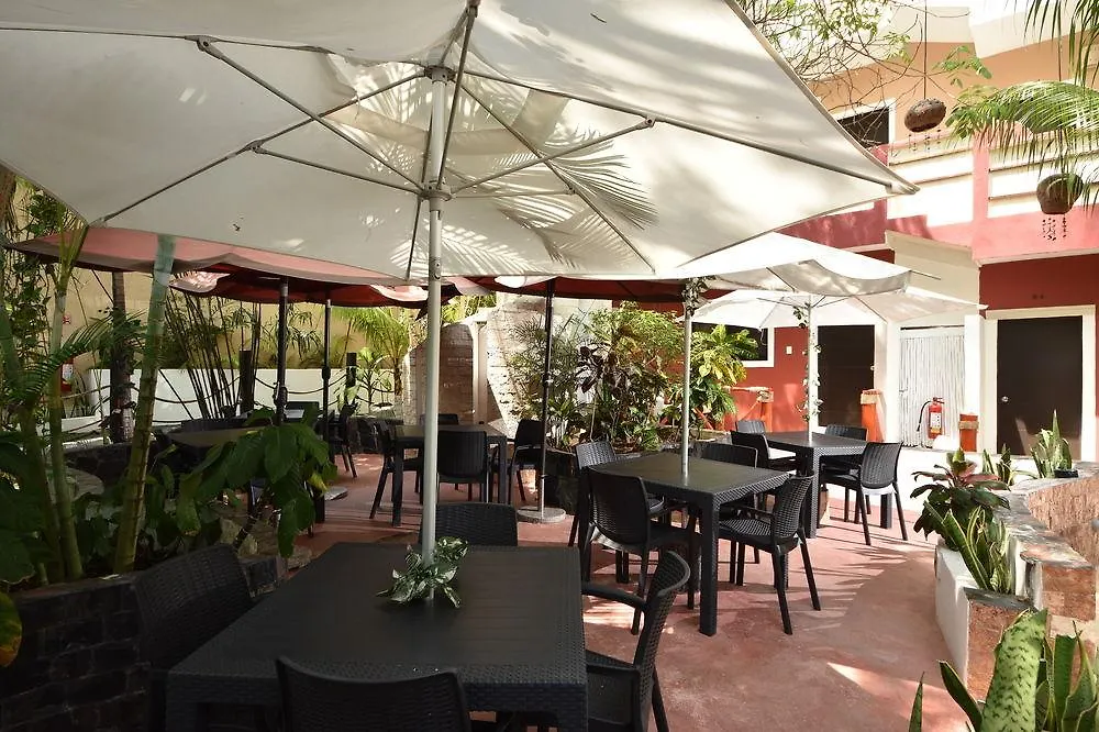 Hotel Beach Energy 5Th Av Playa del Carmen Mexique