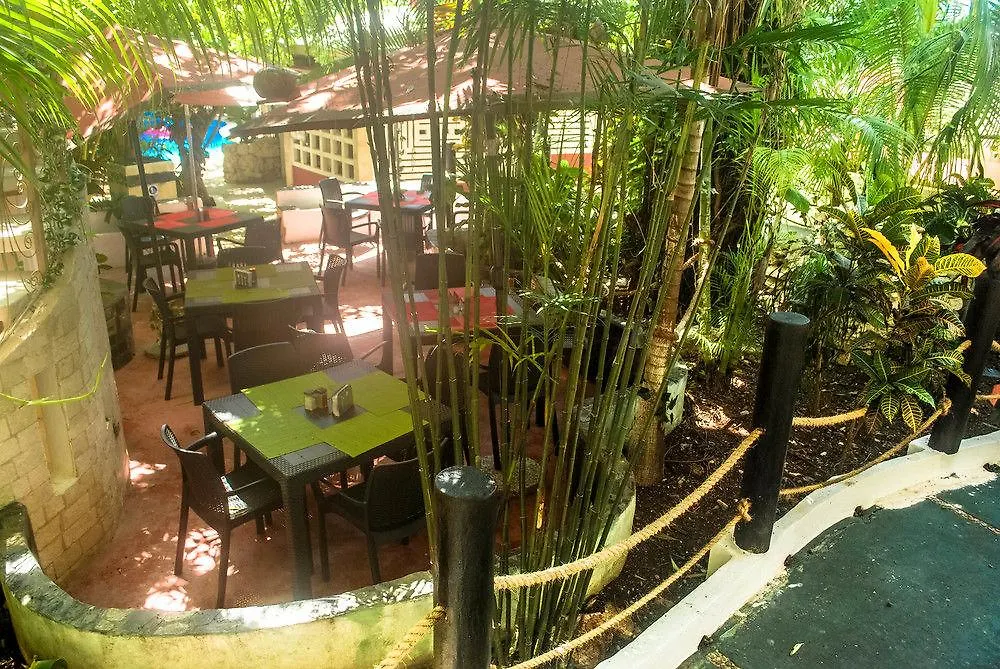 Hotel Beach Energy 5Th Av Playa del Carmen
